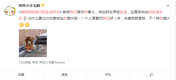 吴昕日常生活_吴昕生活方式_吴昕生活综艺节目