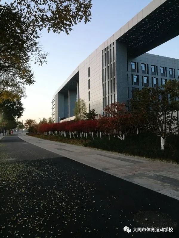 柔道女子世界冠军济南_济南女子冠军世界柔道冠军名单_济南柔道队