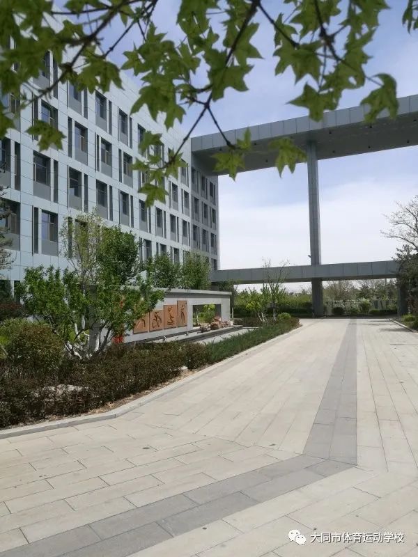 柔道女子世界冠军济南_济南女子冠军世界柔道冠军名单_济南柔道队