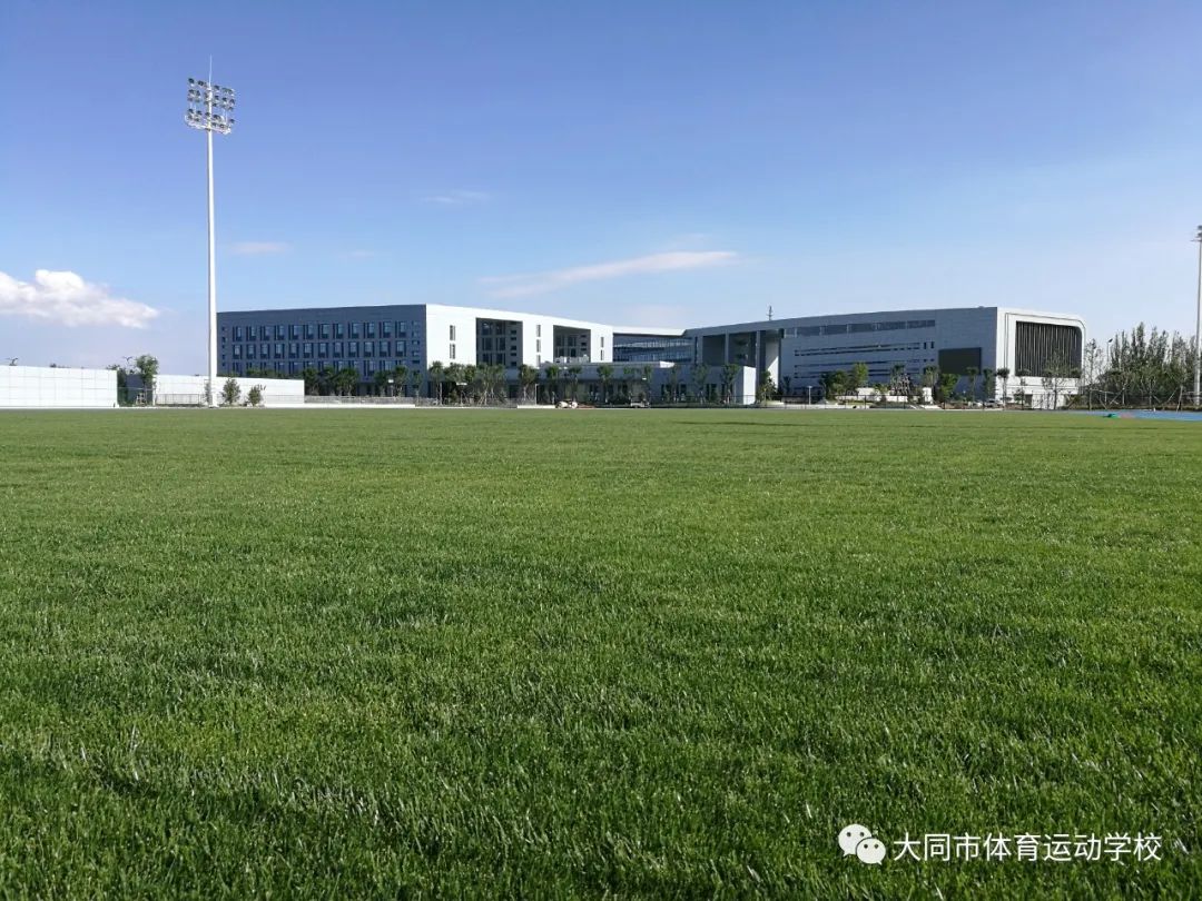 济南柔道队_济南女子冠军世界柔道冠军名单_柔道女子世界冠军济南