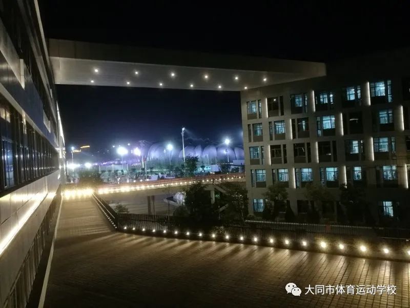 济南女子冠军世界柔道冠军名单_柔道女子世界冠军济南_济南柔道队