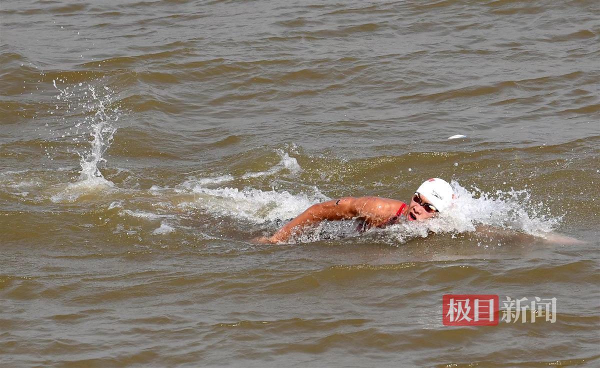 游泳男子世界冠军_男子十公里游泳冠军是_游泳男子冠军是什么级别