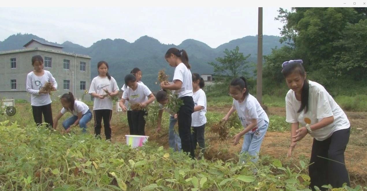 四川筠连篮球冠军_四川篮球夺冠_四川篮球冠军阵容