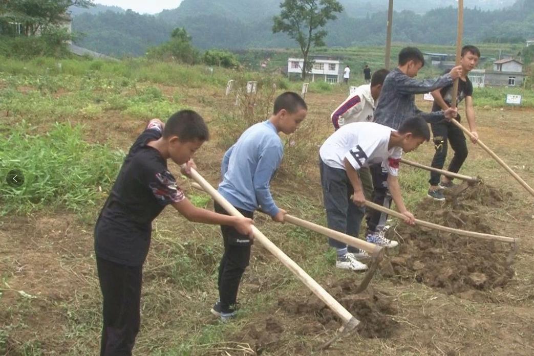 四川篮球冠军阵容_四川筠连篮球冠军_四川篮球夺冠