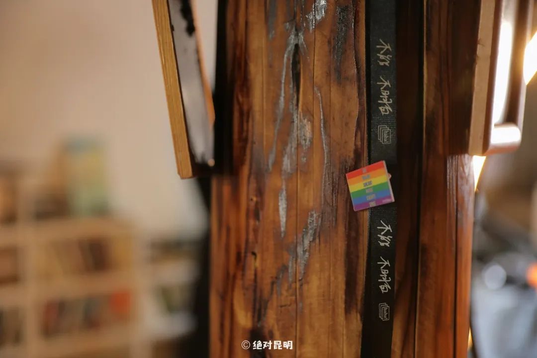 仓鼠生活日常视频_小仓鼠日常家庭生活_仓鼠的日常