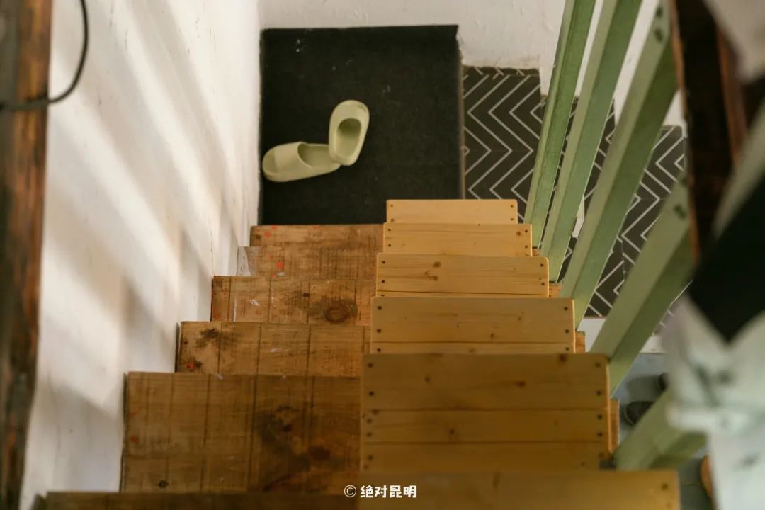 仓鼠的日常_仓鼠生活日常视频_小仓鼠日常家庭生活