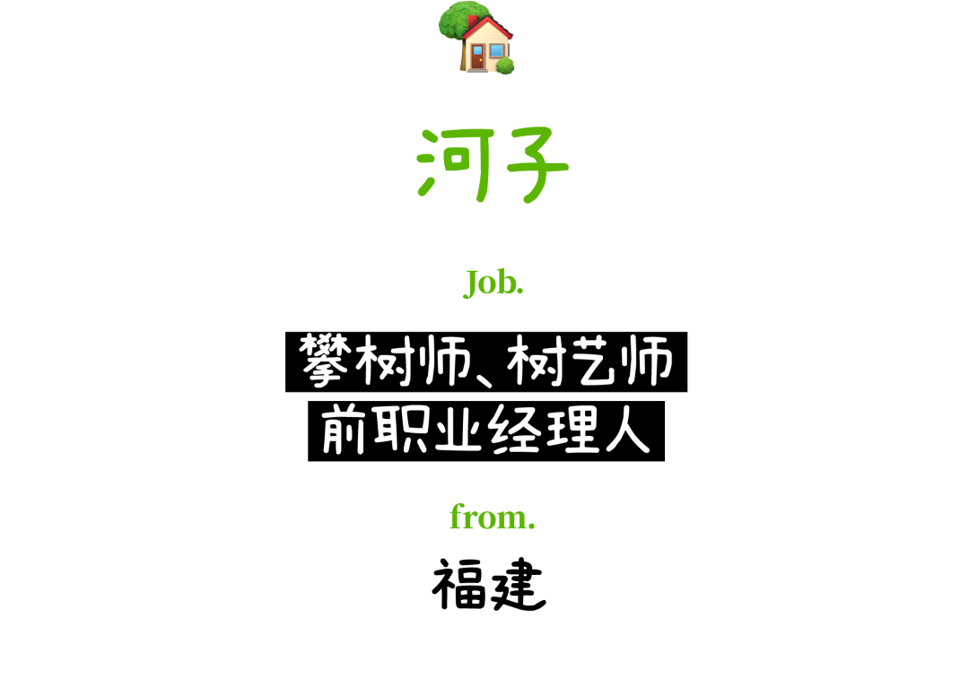 小仓鼠日常家庭生活_仓鼠生活日常视频_仓鼠的日常