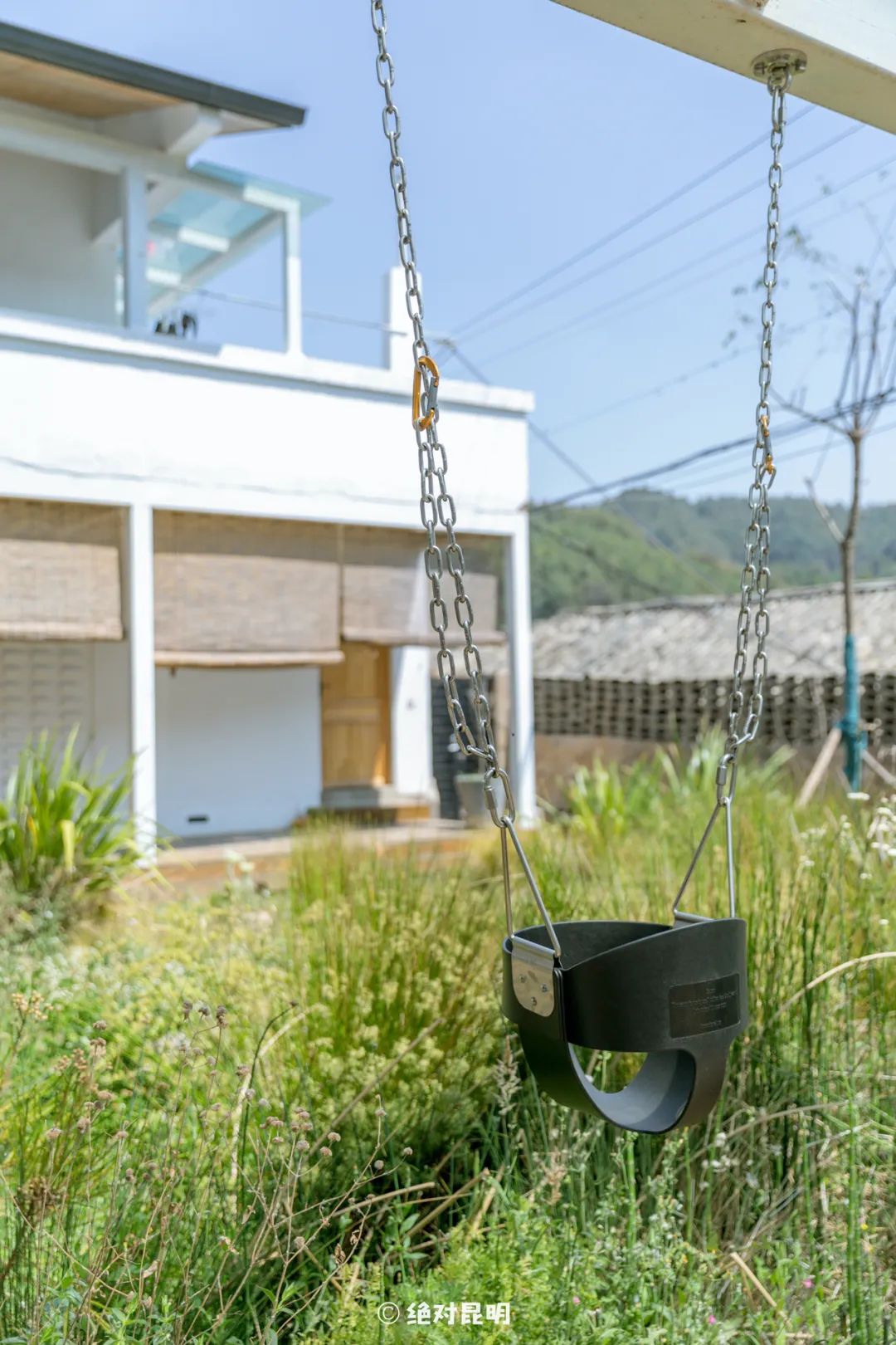 小仓鼠日常家庭生活_仓鼠的日常_仓鼠生活日常视频