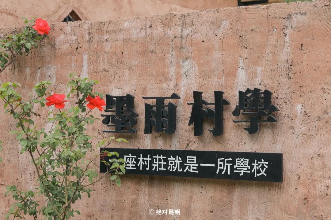 小仓鼠日常家庭生活_仓鼠的日常_仓鼠生活日常视频